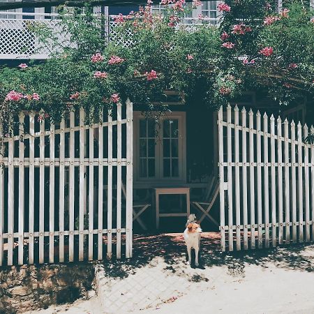 Nha Tim Homestay 달랏 외부 사진