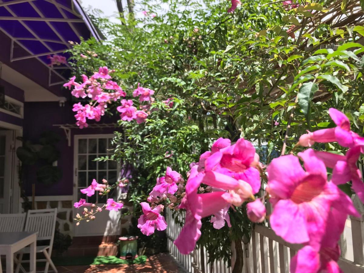 Nha Tim Homestay 달랏 외부 사진