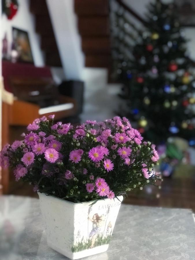 Nha Tim Homestay 달랏 외부 사진
